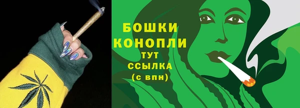 Альфа ПВП Белокуриха