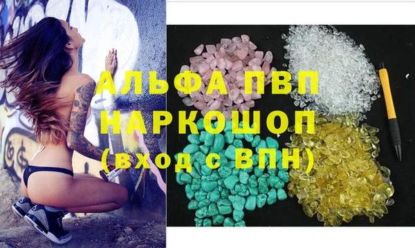 Альфа ПВП Белокуриха